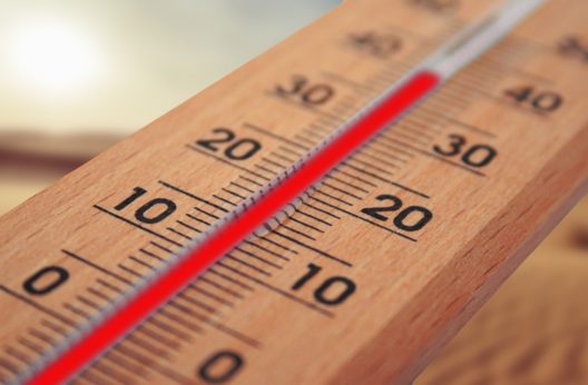 Chaleur et canicule au travail : les précautions à prendre